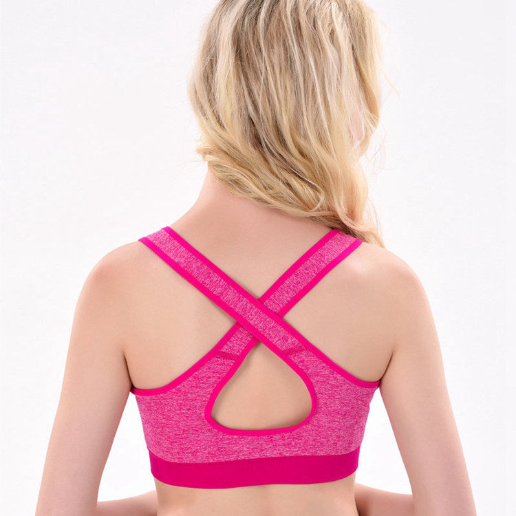 OEM New Design Ladies Seamless Sport Bras Breathable Running Underwear Quick Drying Fitness Yoga Bra Top