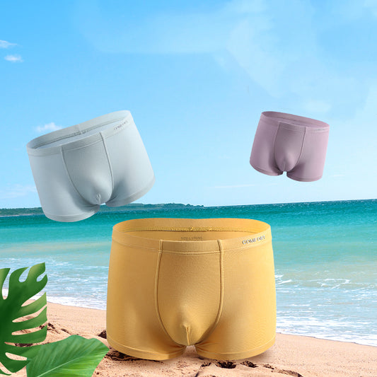 Men's Underwear Lightweight Breathable Boyshort High Elastic Briefs Male Comfortable Seamless Underpants